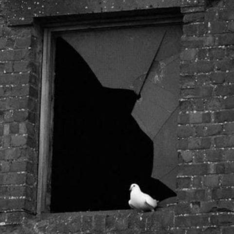 دانلود آهنگ جواد به نام سیلی